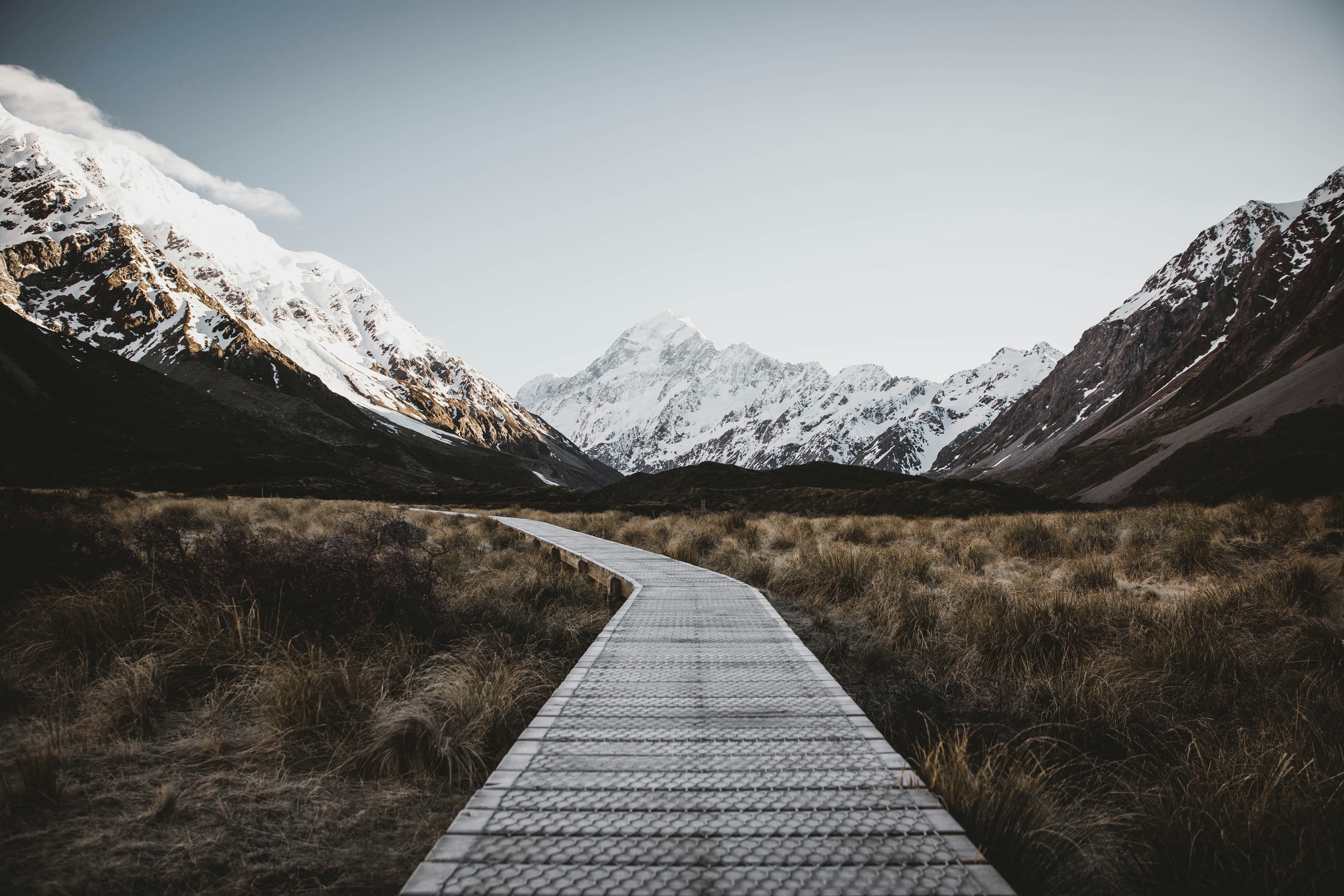 Psalm 1: Two Paths